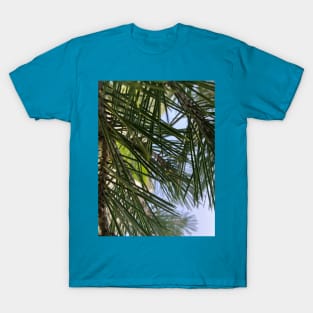 Pine Needles T-Shirt